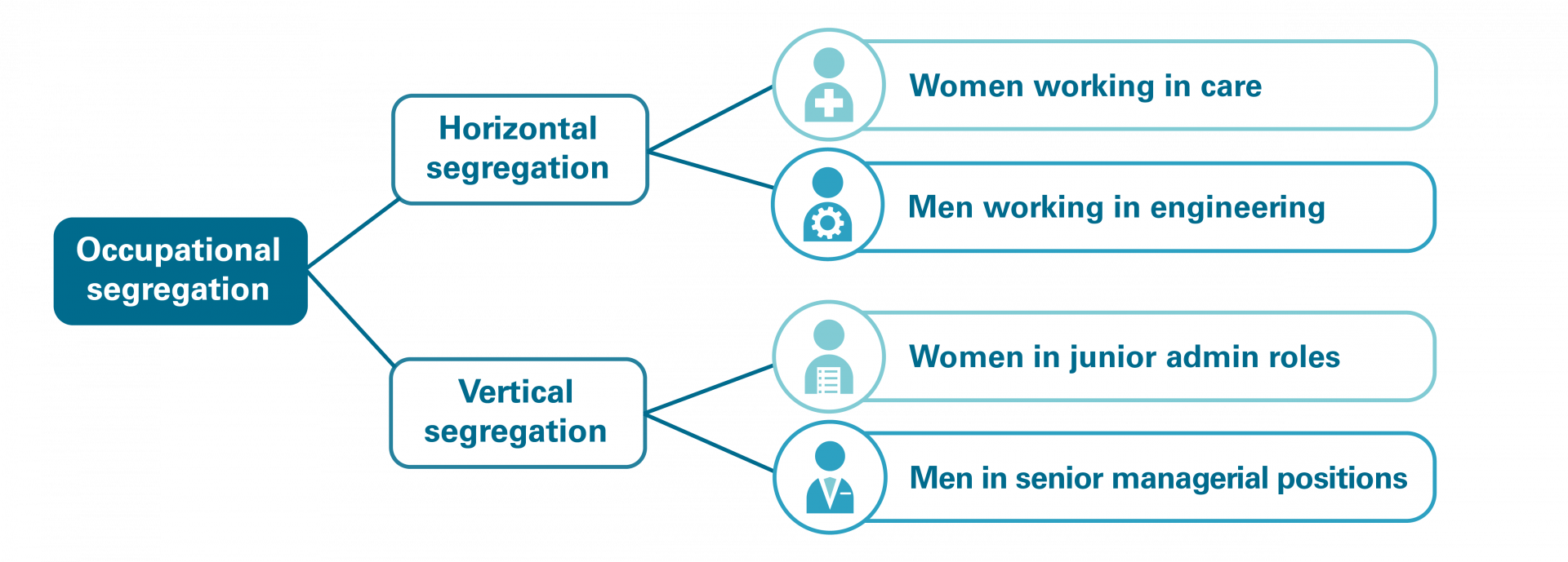 Flow chart illustrating occupational segregation